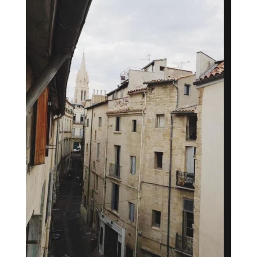 Appartement Cosy Au Coeur De مونبيلييه المظهر الخارجي الصورة